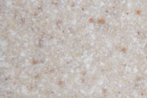 GRC21_Sea_Oats GRC21_Sea_Oats