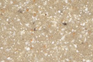 GRC60_Pumpernickel GRC60_Pumpernickel