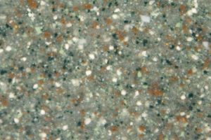 GRC81_Cilantro GRC81_Cilantro