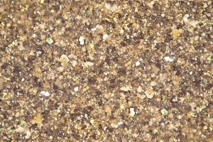 GRST151_Jamocha GRST151_Jamocha