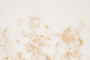 M06_Chamois M06_Chamois